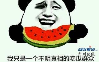 网上吃瓜什么意思