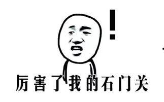 娱乐吃瓜娃子酱,揭秘娱乐圈幕后故事