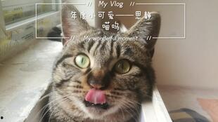 娱乐吃瓜酱卡皮,揭秘娱乐圈背后的那些事儿
