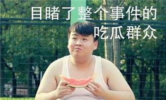 娱乐圈吃瓜笑岔气
